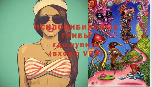 молекула духа Армянск